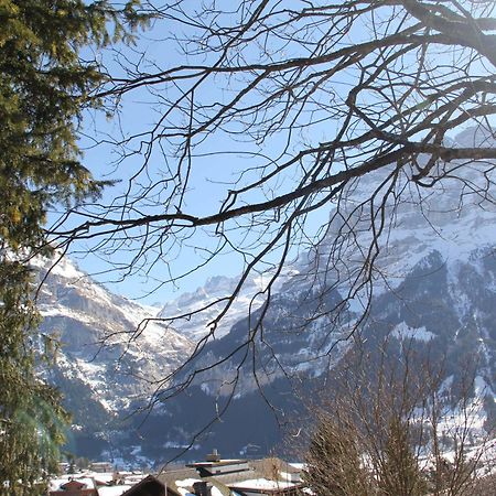 Lodge - Elements Lodge Grindelwald Bagian luar foto